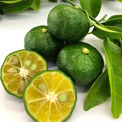 徳之島産 豚メンチカツ 島唐辛子 ヤマ・シークニン 10個入り×2袋 【絆ファーム】