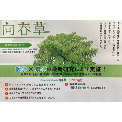 向春草(アマミシマアザミ)錠剤:奄美群島産(健康食品)　90g(300mg×300粒)