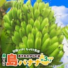 貞さんの島バナナ約3kg