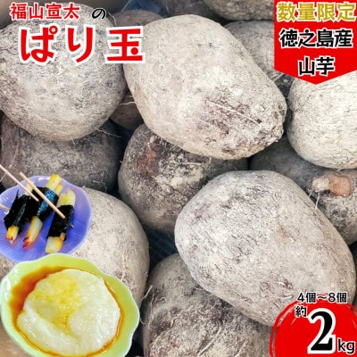 【数量限定】 徳之島 伊仙町産 希少品種 まぁるい山芋 ぱり玉 約2kg(4玉～8玉)【福山宣太】