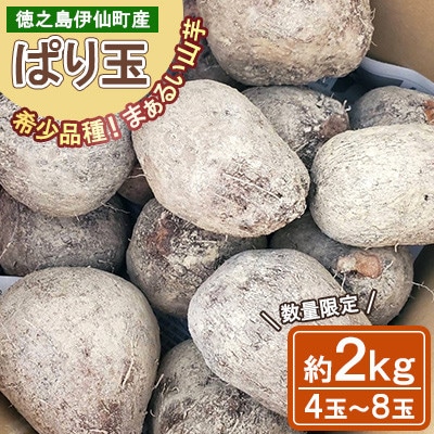 【数量限定】 徳之島 伊仙町産 希少品種 まぁるい山芋 ぱり玉 約2kg(4玉～8玉)【福山宣太】
