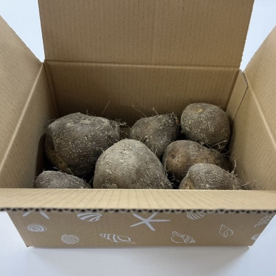 【数量限定】 徳之島 伊仙町産 希少品種 まぁるい山芋 ぱり玉 約2kg(4玉～8玉)【福山宣太】