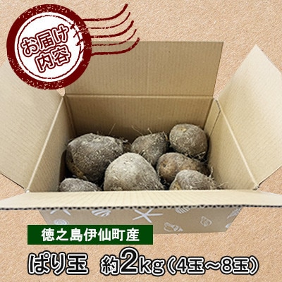 【数量限定】 徳之島 伊仙町産 希少品種 まぁるい山芋 ぱり玉 約2kg(4玉～8玉)【福山宣太】