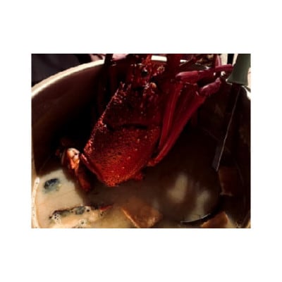 富山さん家の「伊勢海老」約2kg