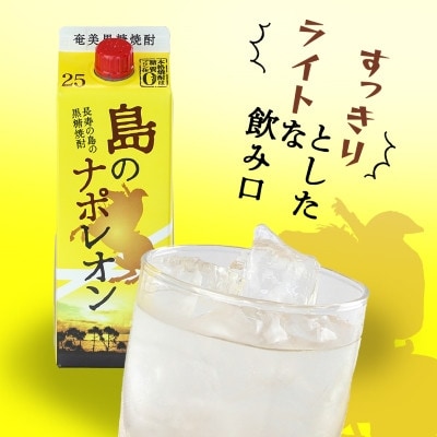 【毎月定期便】奄美黒糖焼酎 島のナポレオン 900ml 紙パック 12本セット全3回