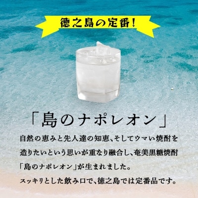 【毎月定期便】奄美黒糖焼酎 島のナポレオン 1,800ml 紙パック 6本セット全3回