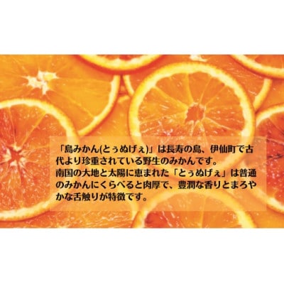 島みかんとぅぬげぇジュース　3本セット