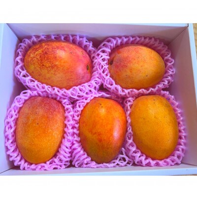 盛農園のマンゴー自宅用約1kg