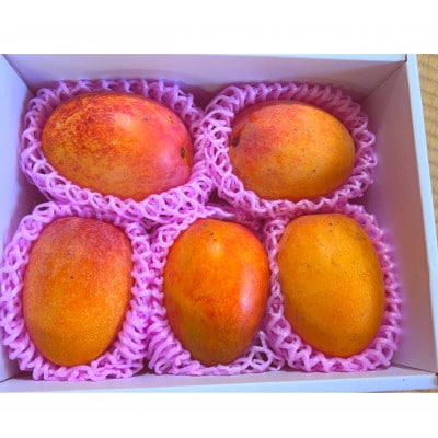 盛農園のマンゴー自宅用約2kg