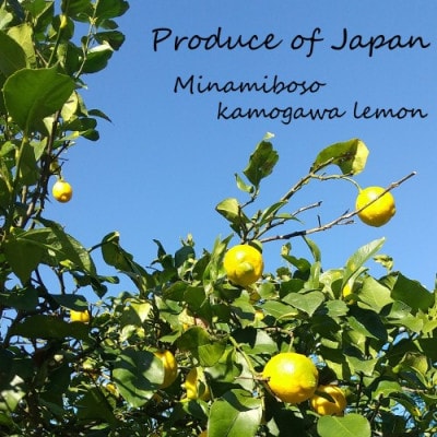 LimOce『洗顔フォーム』&『オールインワンクリーム』各1本 [SF0018-0001]