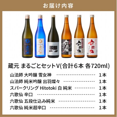 六歌仙　蔵元まるごとセットⅤ hi003-hi019-019r