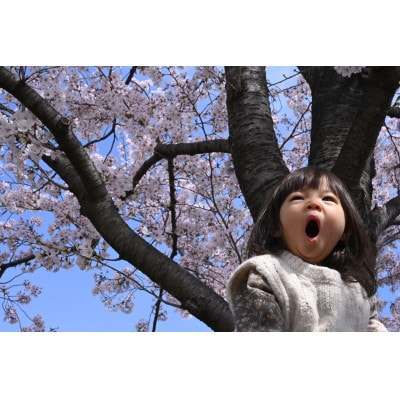 『ふるさと北区フォト撮影～あなたの思い出の場所はどこですか?』