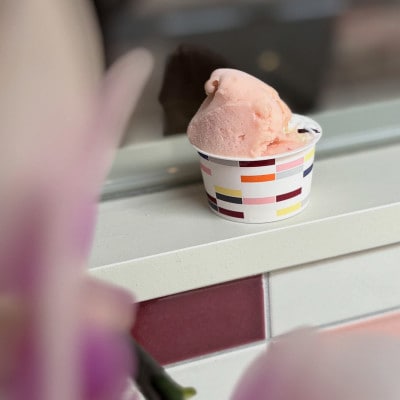 【ジェラート しめしめ堂】季節のしめしめ小箱(ジェラート6種×各1個)