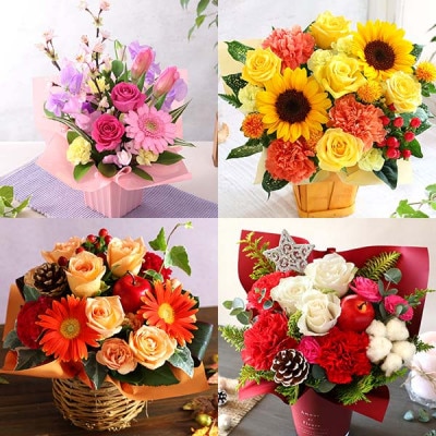 【発送月固定定期便】季節のおまかせアレンジメント《バラ》全4回