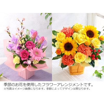 【発送月固定定期便】季節のおまかせアレンジメント《バラ》全4回