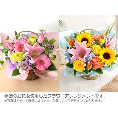 【発送月固定定期便】季節のおまかせアレンジメント《ユリ》全4回