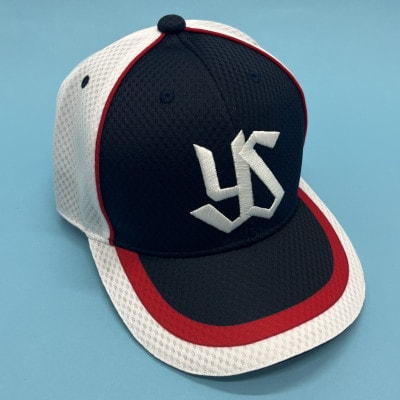 東京ヤクルトスワローズ ベースボールアカデミー体験【小学校1年生～6年生対象】