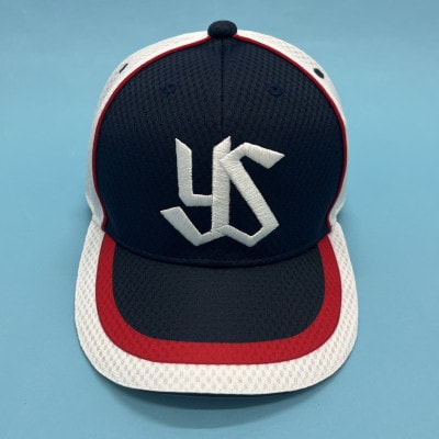 東京ヤクルトスワローズ ベースボールアカデミー体験【小学校1年生～6年生対象】