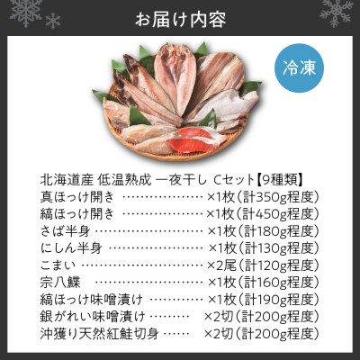 北海道産 低温熟成一夜干しセットC　★9種類_hs145-065