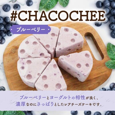 北海道 レアチーズケーキ ブルーベリー 1ホール_hs307-002