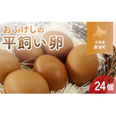 北海道 豊浦 おふけしの平飼い卵 24個 TYUZ001