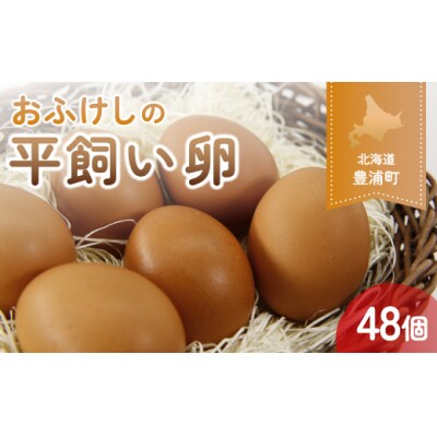 北海道 豊浦 おふけしの平飼い卵 48個 TYUZ003