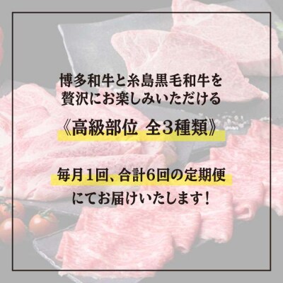 【全6回】シャトーブリアン180g×2枚&黒毛和牛肩ロース500g&モモ肉500g[ACA107]
