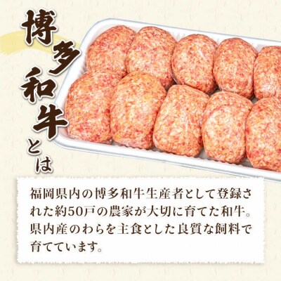 【全6回定期便】A4ランク博多和牛入り特製生ハンバーグ150g×10個×6回  [ACA255]