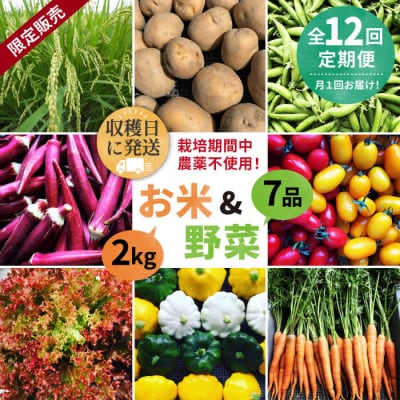 【全12回定期便】【☆畑直送☆栽培期間中農薬不使用!】お米2kg &野菜7品セット [AGE038]