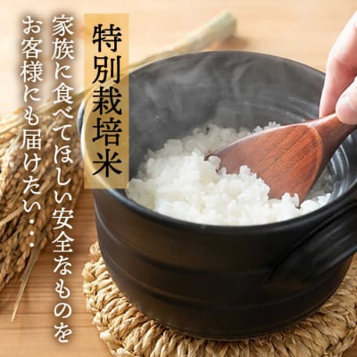 【全12回定期便】【☆畑直送☆栽培期間中農薬不使用!】お米2kg &野菜7品セット [AGE038]