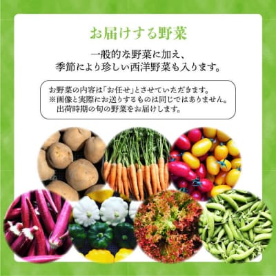 【全12回定期便】【☆畑直送☆栽培期間中農薬不使用!】お米2kg &野菜7品セット [AGE038]