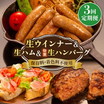 【全3回定期便】特製 生ハンバーグ 生ハム 生ウインナー 3種セット[AOA029]