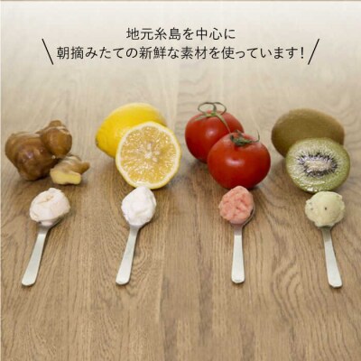 【全6回定期便】ジェラート カップ 10個セット! 大人の味 5種類 × 各2個[AGD021]