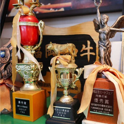 【全3回定期便】【月限定40個】 希少 糸島 和牛 もも スライス 500g[AJD010]