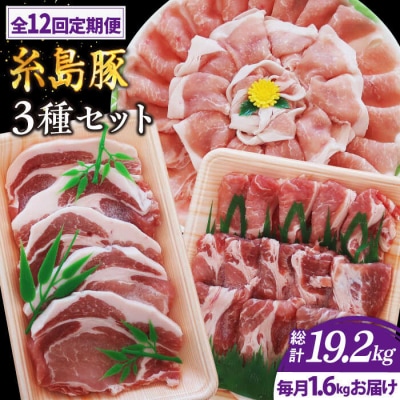 【全12回定期便】糸島 豚 バラエティセット(しゃぶしゃぶ/肩ロース/とんかつ)[AJD012]
