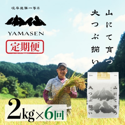 令和6年産米【定期便】山仙(いのちの壱))2kg×6回 定期 すがたらいす【51-I】