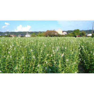 【さとふる限定】純国産胡麻油 静岡県磐田市産　1本