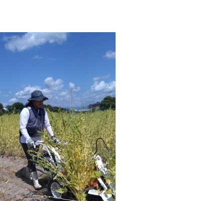 【さとふる限定】純国産胡麻油 静岡県磐田市産 2本
