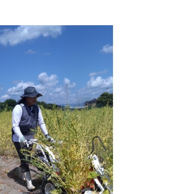 【さとふる限定】純国産胡麻油 静岡県磐田市産 3本