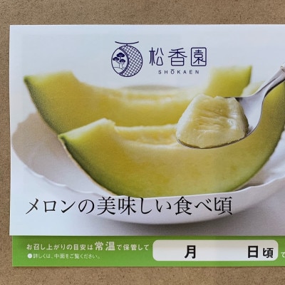 静岡県産マスクメロン1玉　化粧箱入