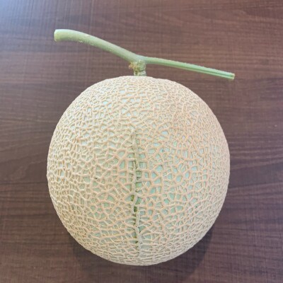 訳あり静岡温室マスクメロン2個入