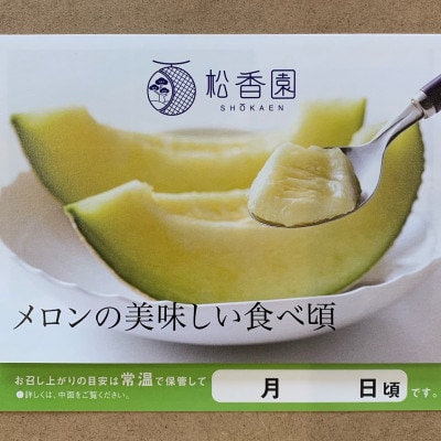 静岡温室マスクメロン2個入(化粧箱入)