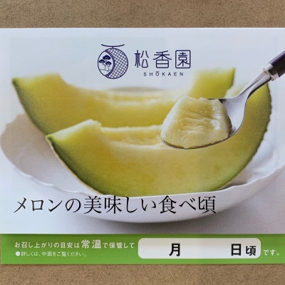 高級静岡温室マスクメロン大1個入(化粧箱入)