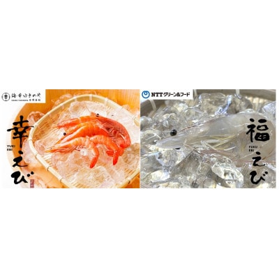 希少【静岡県磐田市産】頭から丸ごと食べられる!国産 冷凍「幸えび/串打ち」「福えび」セット　陸上養殖