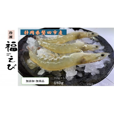 福えび3パックセット　静岡県磐田市産