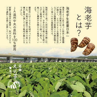 【業務用】静岡県磐田市産のどうまいもちもち『えび芋コロッケ』80g×10個×4袋