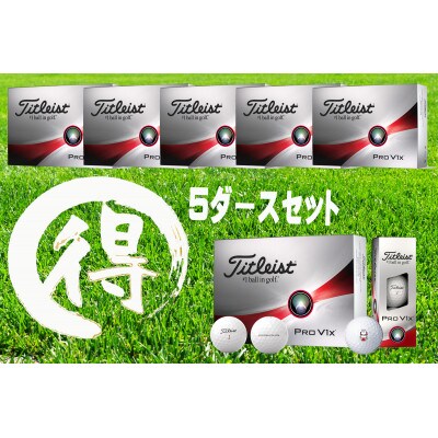 しっぺいオウンネームゴルフボール タイトリスト PRO V1X 2023モデル 5ダースセット