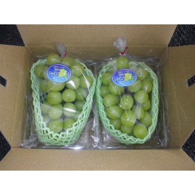 【先行受付】【150口限定】シャインマスカット　2房(2026年9月上旬～中旬発送予定)