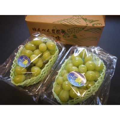 【先行受付】【150口限定】シャインマスカット　2房(2026年9月中旬～下旬発送予定)