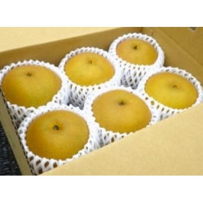 �y��s��t�z�y100������z���w�K���x(2026�N8����`���{�����\��)